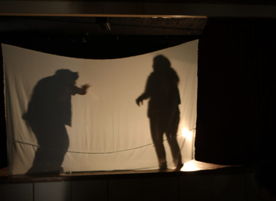 Pre-vocational-shadow-theater
